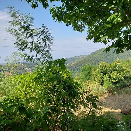 Casa Peppina Holiday home Strettoia